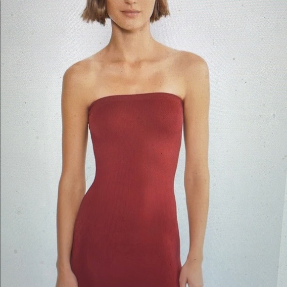 Aritzia Seemless Strapless wine midi Dress-Shapewear - Picture 4 of 8
